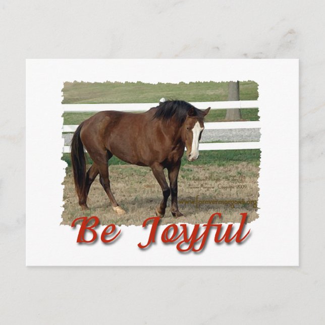 Postal Rescató a Morgan Horse:  Ser alegre (Anverso)