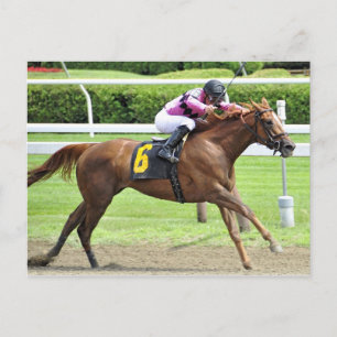 Postal Reseña de libros