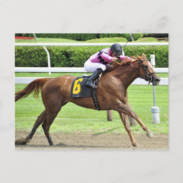 Postal Reseña de libros (Anverso)