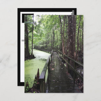 Postal reserva costera única