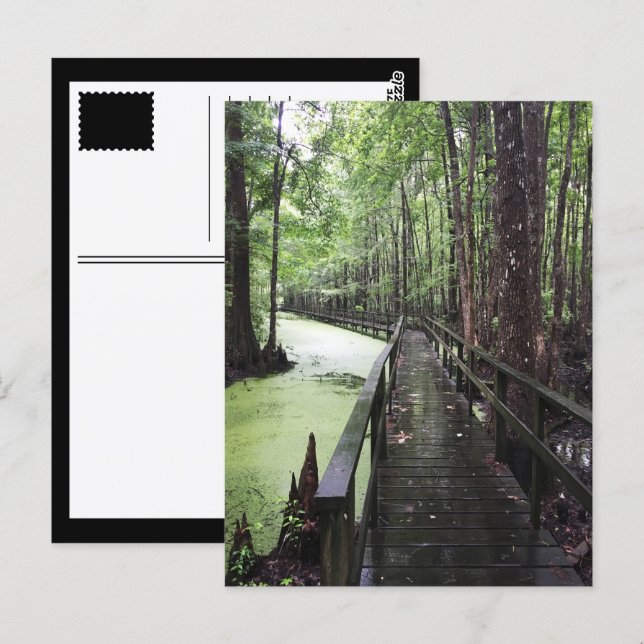 Postal reserva costera única (Anverso / Reverso)