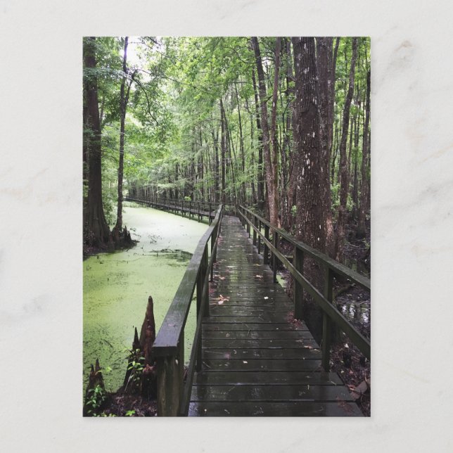 Postal reserva costera única (Anverso)