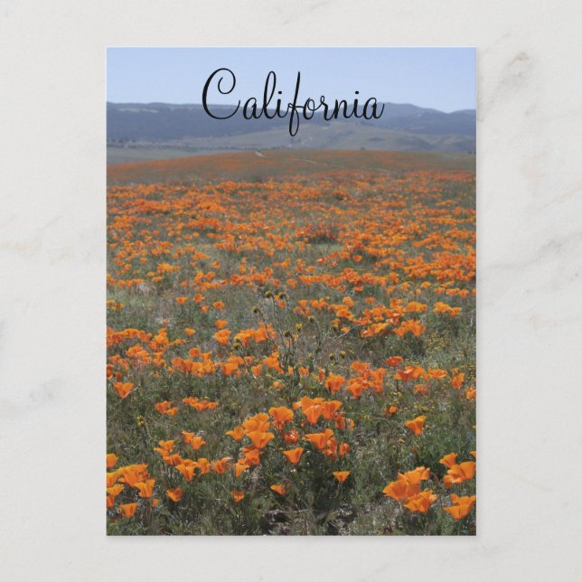 Postal Reserva de amapola (Anverso)