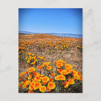 Postal Reserva de amapola de Antelope Valley California