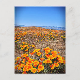Postal Reserva de amapola de Antelope Valley California