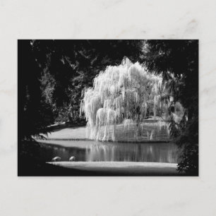 Postal Reserva de Bloedel