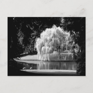 Postal Reserva de Bloedel