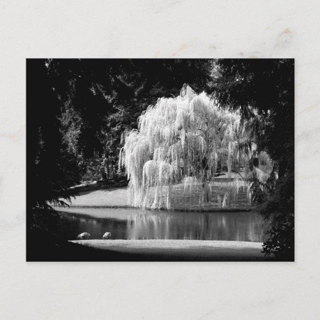 Postal Reserva de Bloedel (Anverso)