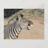 Reserva de caza Mkuze, provincia de Kwa-Zulu Natal
