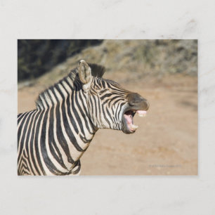 Postal Reserva de caza Mkuze, provincia de Kwa-Zulu Natal