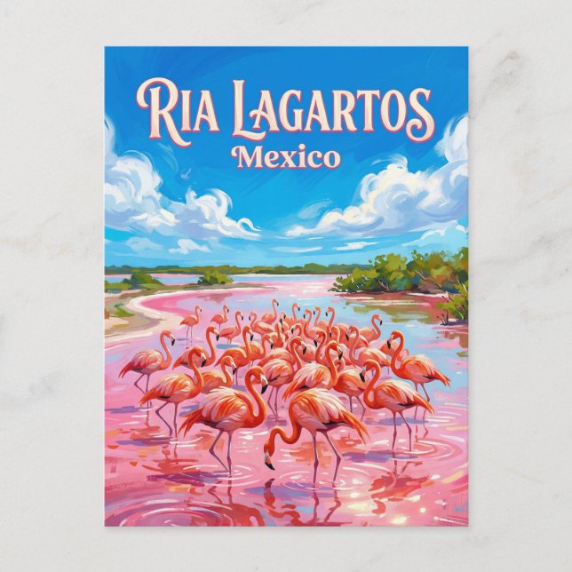 Postal Reserva de la Biosfera Ría Lagartos México (Anverso)