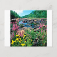 Reserva de la Edad de Hielo del Río Wisconsin Wisc