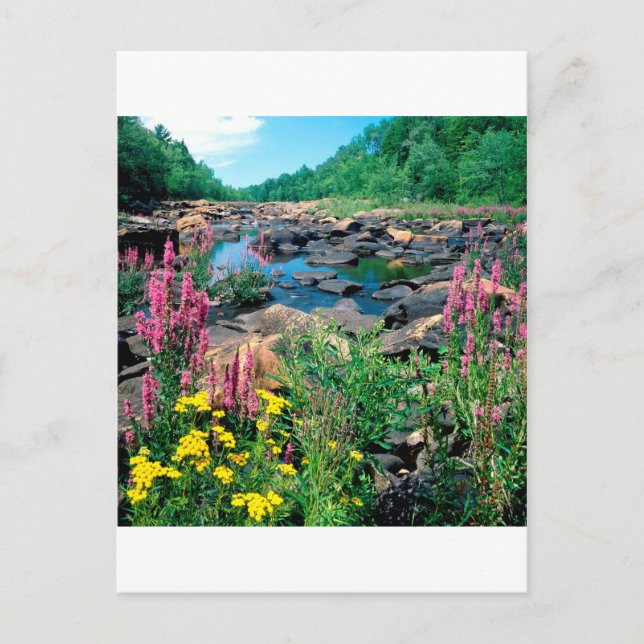 Postal Reserva de la era de hielo del río Lago Wisconsin  (Anverso)