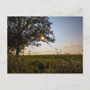 Postal Reserva Estatal del Cementerio de Bigelow, Ohio