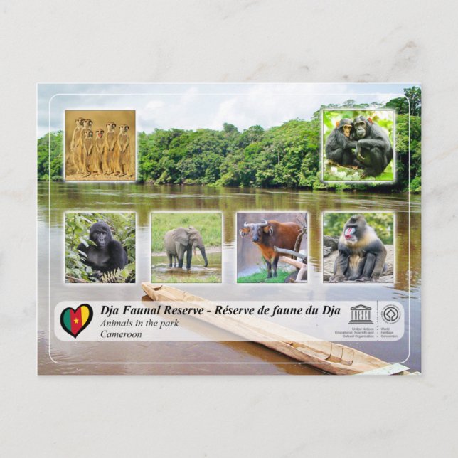 Postal Reserva Faunística de la UNESCO WHS - Dja (Anverso)