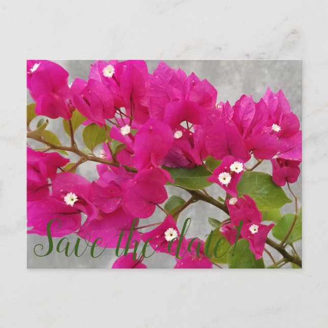 Postal Reserva la fecha! (Anverso)