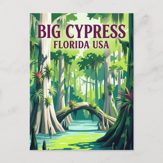 Postal Reserva Nacional Big Cypress EE. UU. (Anverso)