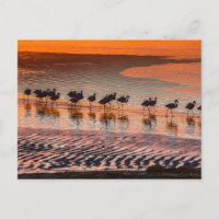 Reserva Nacional de Fauna Andina Eduardo Abaroa