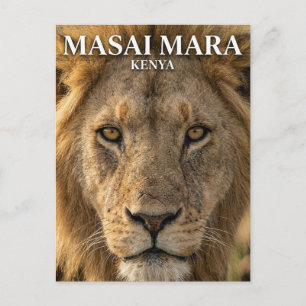 Postal Reserva Nacional Masai Mara Kenia