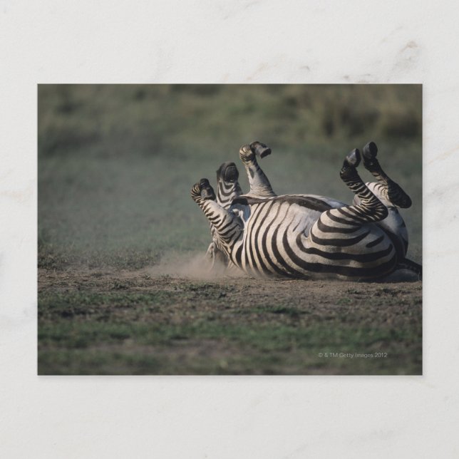 Postal Reserva Nacional Masai Mara, Kenya 2 (Anverso)