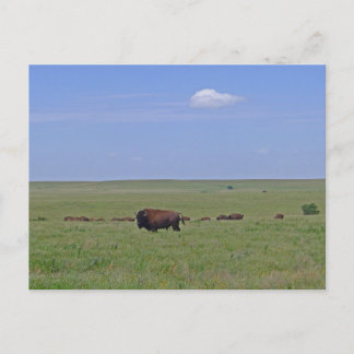 Postal Reserva Nacional Prairie de Talgrass - Kansas