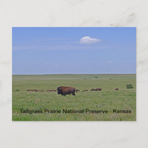 Postal Reserva Nacional Prairie de Talgrass - Kansas