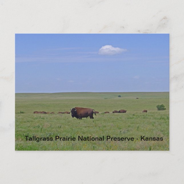 Postal Reserva Nacional Prairie de Talgrass - Kansas (Anverso)