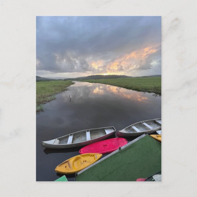 Postal Reserva Natural de Kaw-Roura - Guayana Francesa (Anverso)