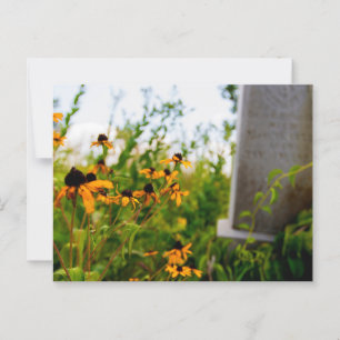 Postal Reserva Natural del Cementerio Smith, Ohio