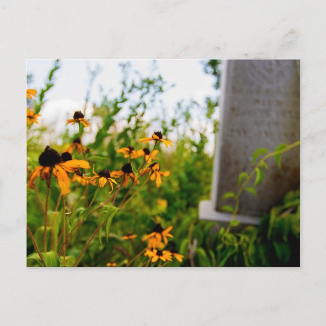 Postal Reserva Natural del Cementerio Smith, Ohio (Anverso)