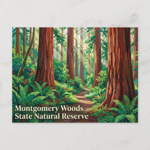 Postal Reserva Natural del Estado de Montgomery Woods Cal