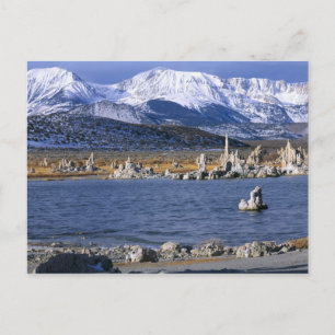 POSTAL RESERVA NATURAL DEL ESTADO DE TUFA DEL LAGO MONO,