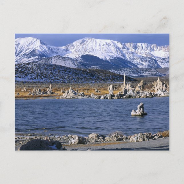 POSTAL RESERVA NATURAL DEL ESTADO DE TUFA DEL LAGO MONO, (Anverso)