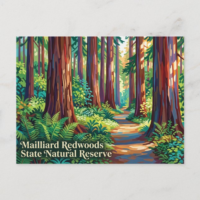 Postal Reserva Natural Estatal de Redwoods Mailliard (Anverso)