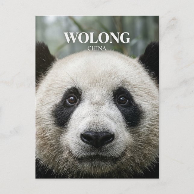 Postal Reserva Natural Nacional Wolong China (Anverso)