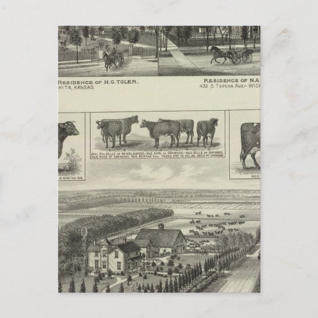 Postal Residences and Stock Farm, Wichita, Kansas (Anverso)