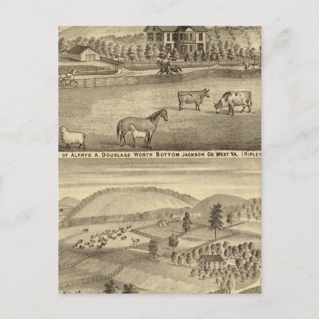 Postal Residencia de Alfred A Douglass (Anverso)
