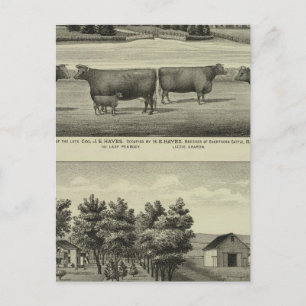 Postal Residencia y granja de Hayes, Olathe y Ellis