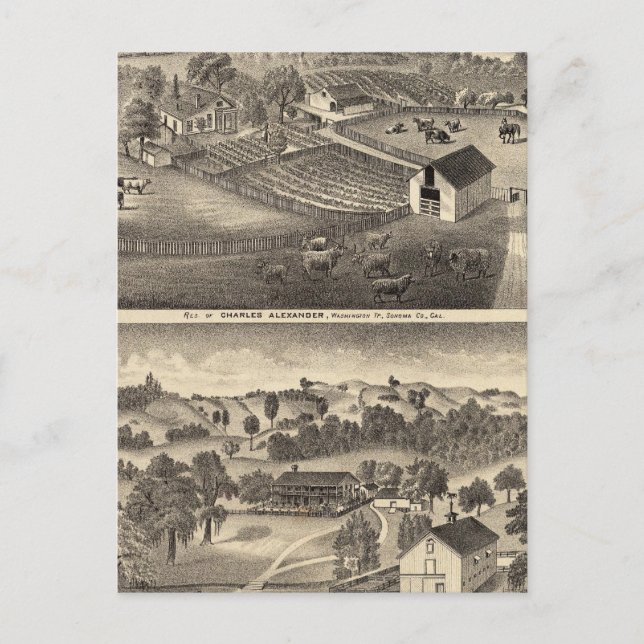 Postal Residencias de Charles Alexander (Anverso)