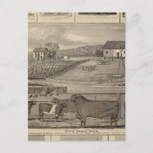 Postal Residencias, edificios e iglesias