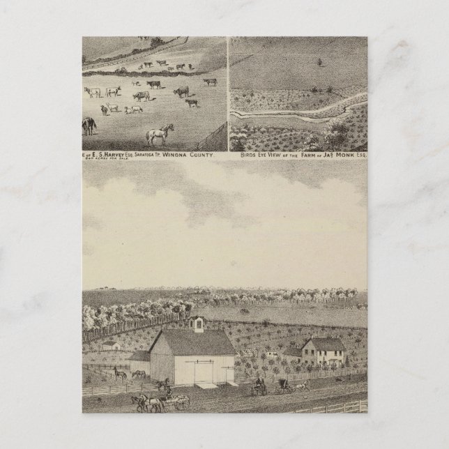 Postal Residencias y granjas de Eldridge, Minnesota (Anverso)