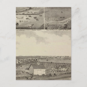 Postal Residencias y granjas de Eldridge, Minnesota