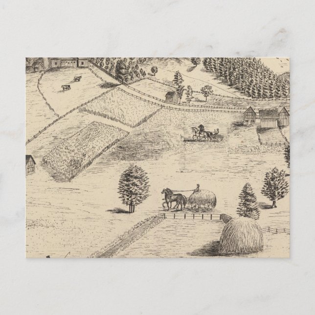 Postal Residencias y granjas en New Haven (Anverso)