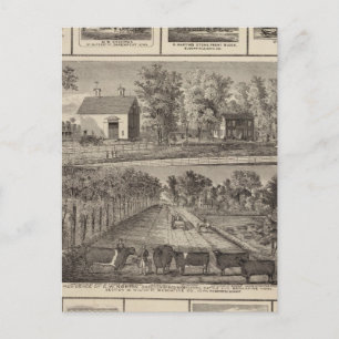 Postal Residencias y negocios en Muscatine