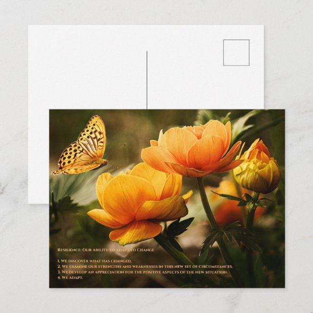Postal Resiliencia (Anverso / Reverso)