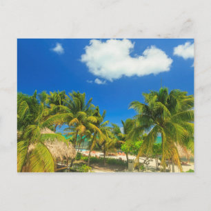 Postal Resort de playa tropical, Belice
