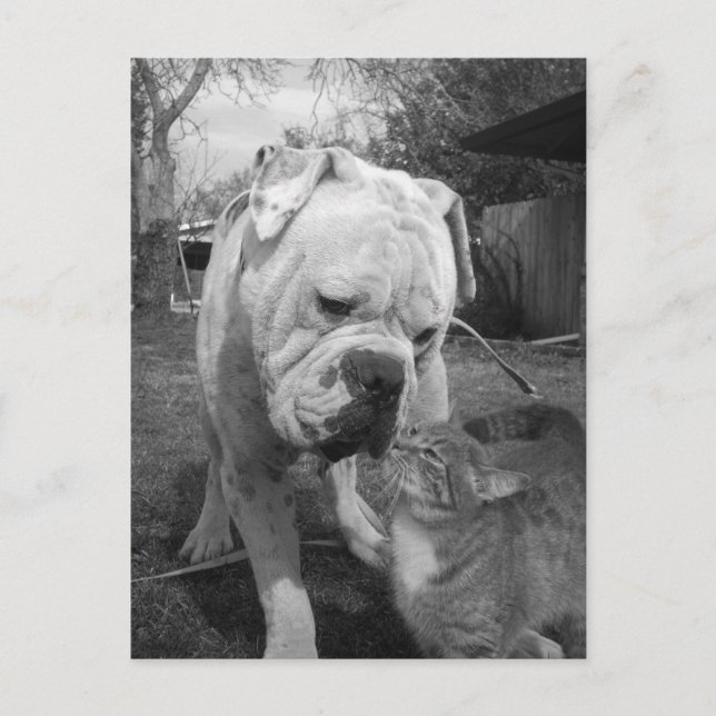 Postal respetar (Anverso)