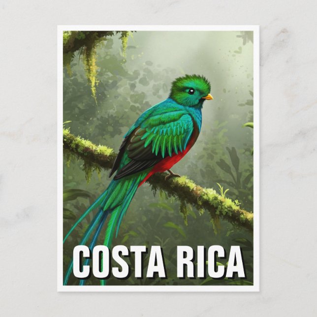 Postal Resplandor Quetzal Monteverde bosque nuboso (Anverso)