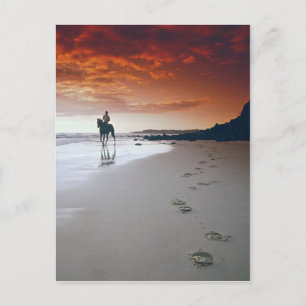 Postal Responder al hogar