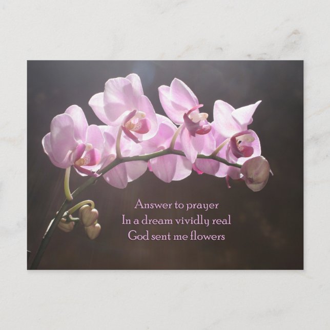 Postal Respuesta A La Oración (Anverso)